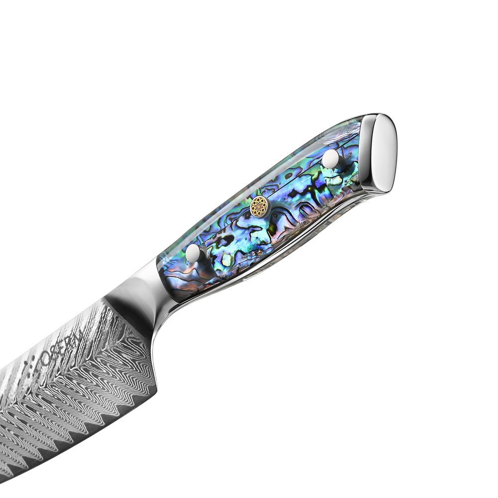 OSERM “Kōga 光霞” Japanese Damascus Knife Set – 5 - Piece VG10 Gift Collection